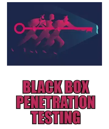  black box penetration testing course